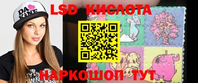 шишки Изобильный
