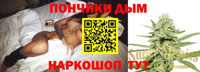 шишки Изобильный