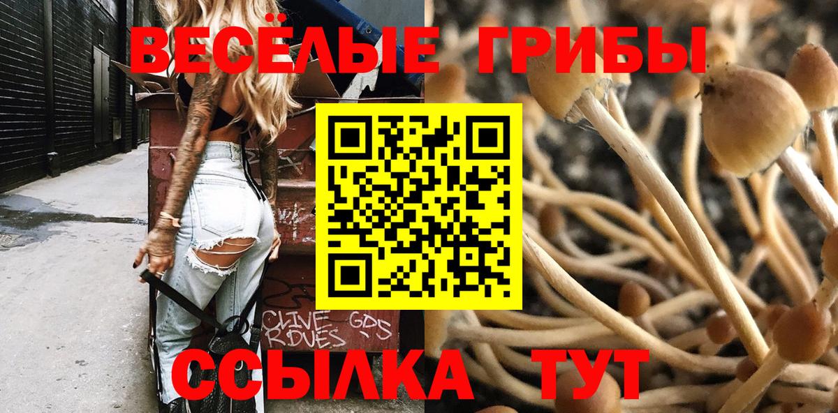 Галлюциногенные грибы прущие грибы Луховицы