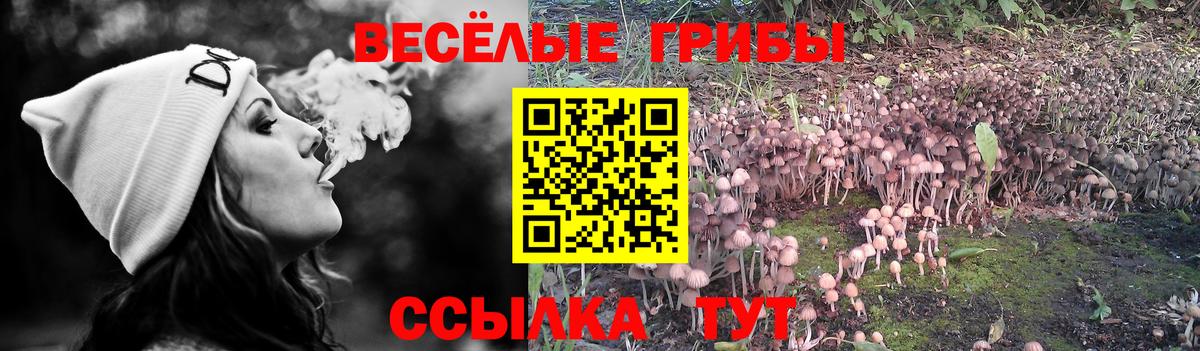 Галлюциногенные грибы Cubensis  Вход с VPN  Луховицы  Псилоцибиновые грибы Psilocybine cubensis 